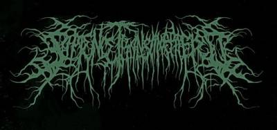 logo Sapience Transmogrified